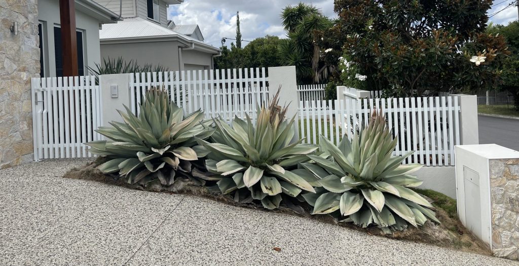 Brisbane Aluminium Slat Fencing Luxe Metalworks